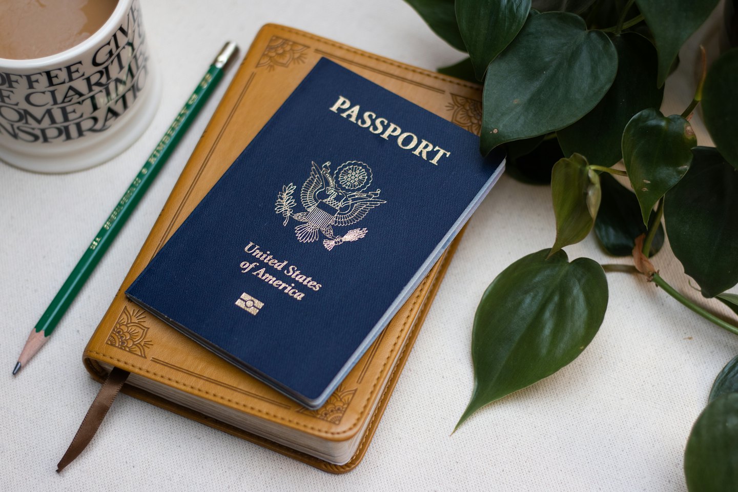 Passport and notebook with coffee mug and plant.